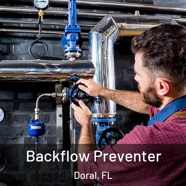  Backflow Preventer Doral, FL