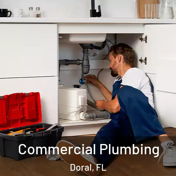  Commercial Plumbing Doral, FL