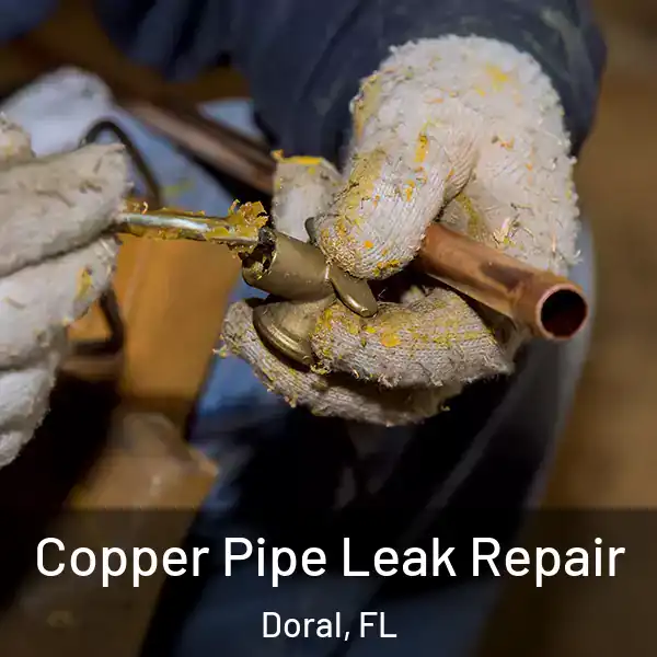  Copper Pipe Leak Repair Doral, FL