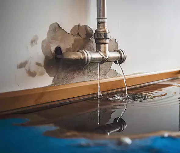 Professional Water Damage Restoration Experts in Doral, FL — Fast, Reliable & Certified