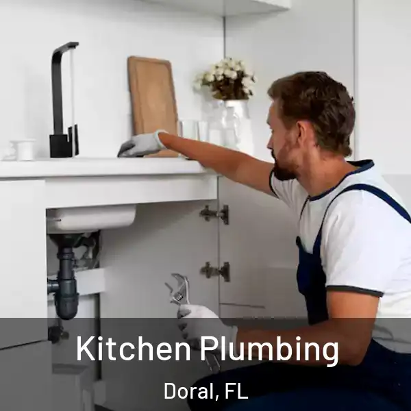  Kitchen Plumbing Doral, FL