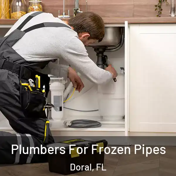  Plumbers For Frozen Pipes Doral, FL