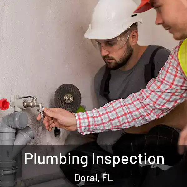  Plumbing Inspection Doral, FL