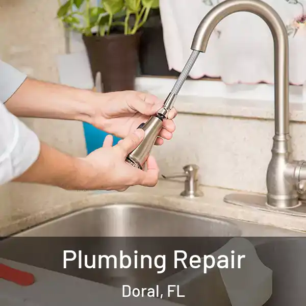  Plumbing Repair Doral, FL