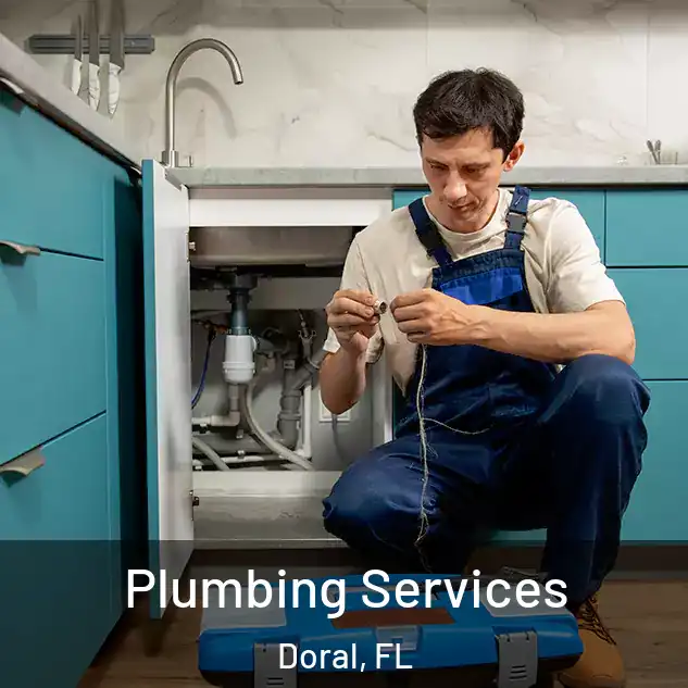 Plumbing Services Doral, FL
