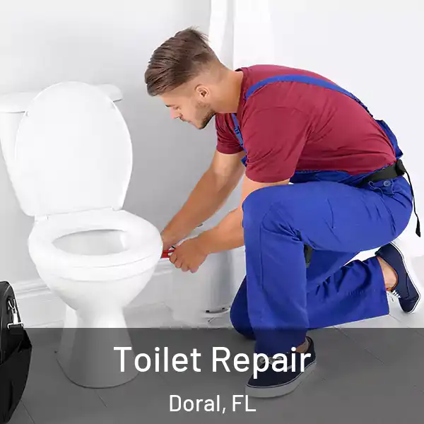  Toilet Repair Doral, FL