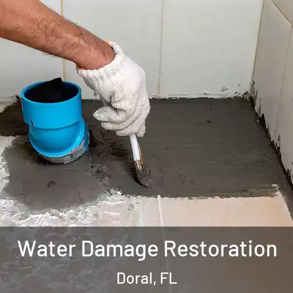  Water Damage Restoration Doral, FL