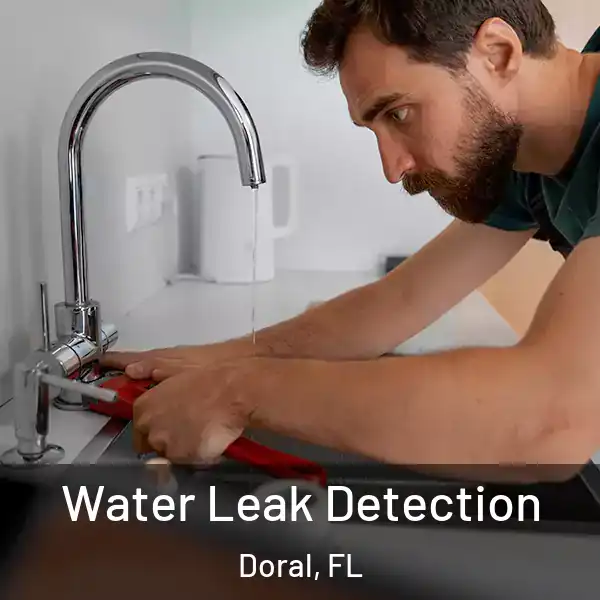  Water Leak Detection Doral, FL